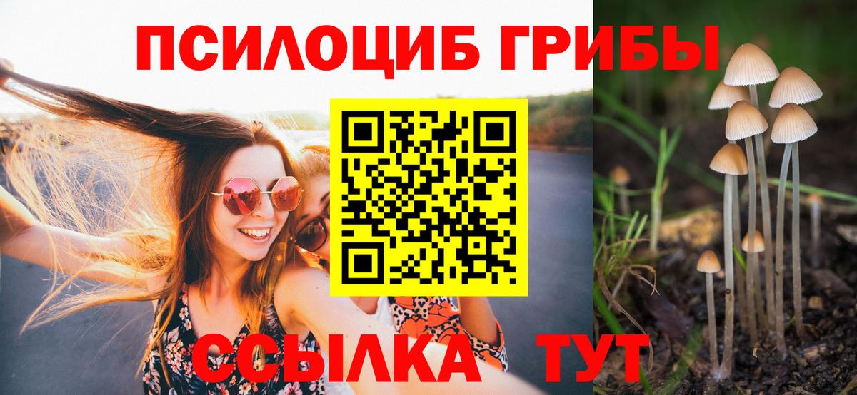 Псилоцибиновые грибы Psilocybine cubensis  Вход с VPN  сколько стоит  Кинель  Псилоцибиновые грибы GOLDEN TEACHER 